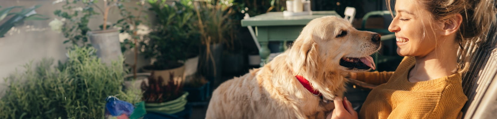 Femme et son chien en bonne santé