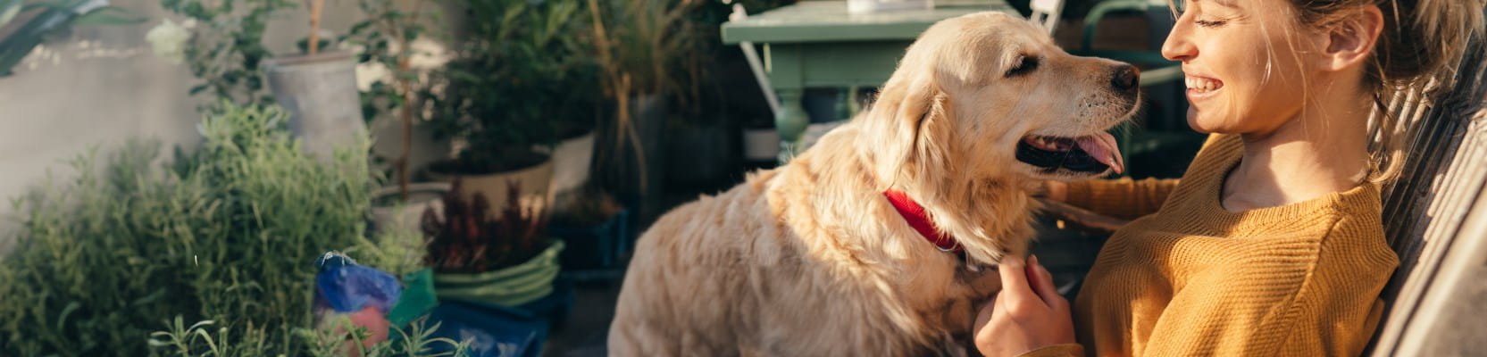 Femme et son chien en bonne santé