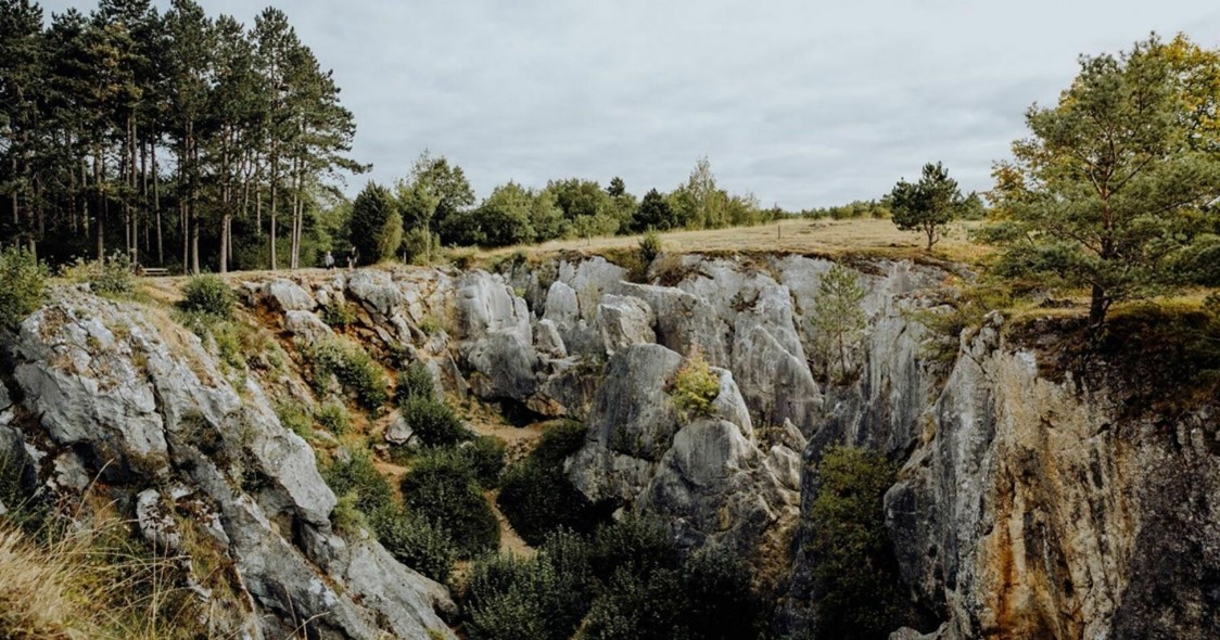 Paysage à Fondry des chiens