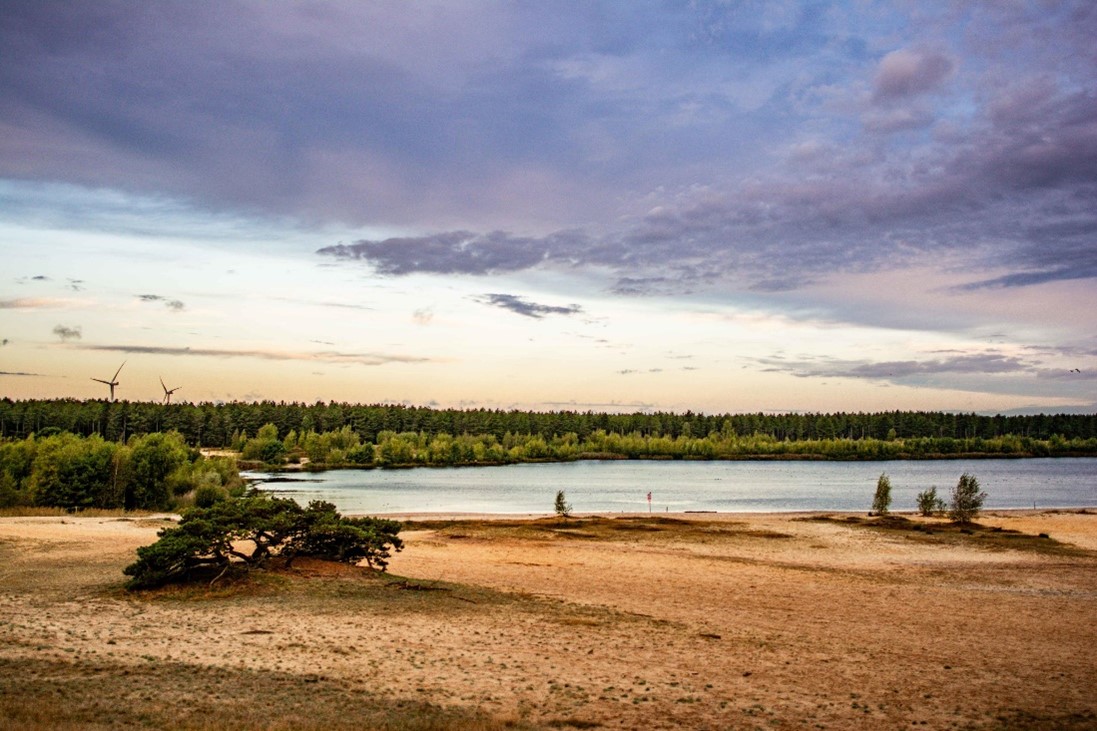 Les belles dunes du Sahara de Lommel