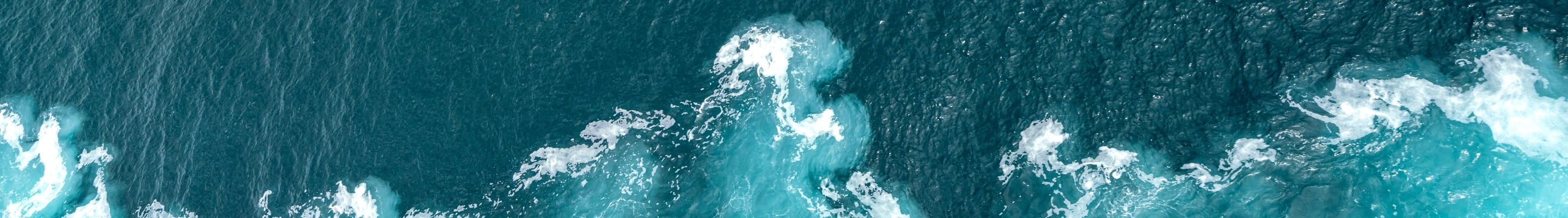 L'océan joue un rôle majeur dans l'environnement en produisant de l'oxygène.