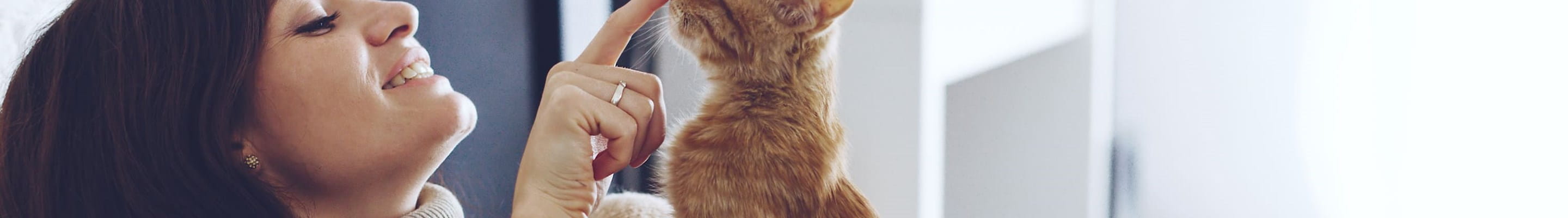 Vrouw speelt met haar kat na een verhuizing