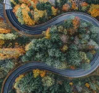 Weg die door een bos kronkelt, waar bomen schade kunnen veroorzaken aan het openbaar domein, met de mogelijke aansprakelijkheid van de gemeente tot gevolg.