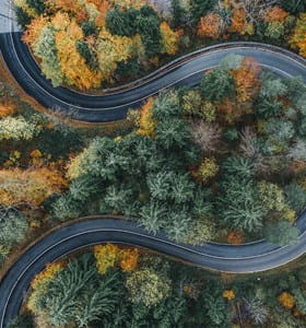 Weg die door een bos kronkelt, waar bomen schade kunnen veroorzaken aan het openbaar domein, met de mogelijke aansprakelijkheid van de gemeente tot gevolg.