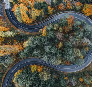 Weg die door een bos kronkelt, waar bomen schade kunnen veroorzaken aan het openbaar domein, met de mogelijke aansprakelijkheid van de gemeente tot gevolg.