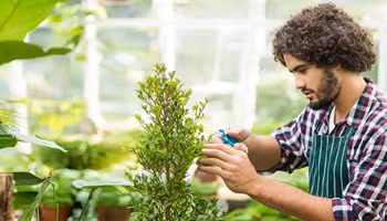 Zelfstandige heeft een POZ afgesloten en werkt daardoor met een gerust gemoed.