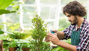 Indépendant couvert par la CPTI travaille de manière sereine.