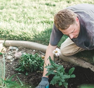 Homme qui jardine dans son jardin tranquillement : en cas d’accident, il peut compter pour son assurance incapacité de travail.