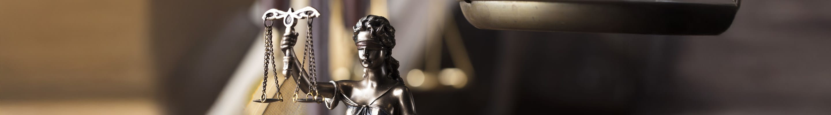 Een verzekering rechtsbijstand kan de gemeente financieel ondersteunen in een gerechtelijke procedure.