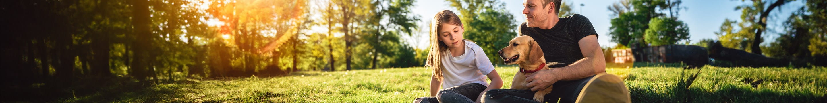 Een gezin geniet van de zon in het park: bij schade aan derden kunnen ze de schadeaangifte voor hun familiale verzekering makkelijk melden en opvolgen.